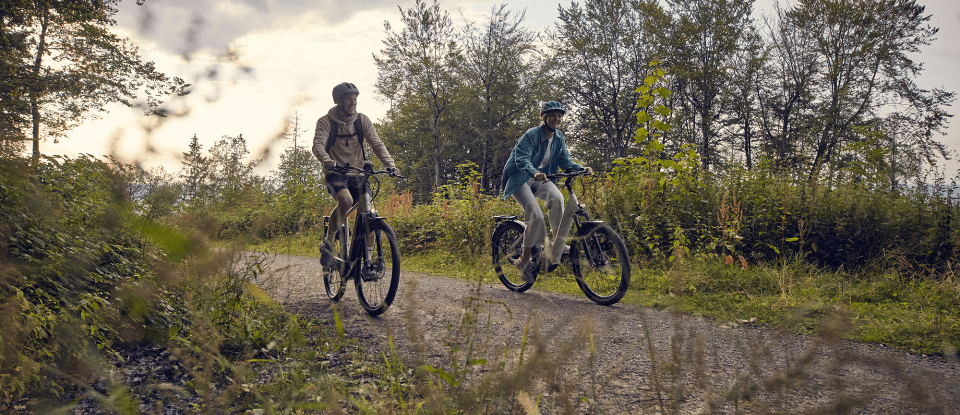 falter-bikes-imagebild