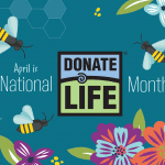 Bee and flower graphics promoting National Donate Life Month awareness.