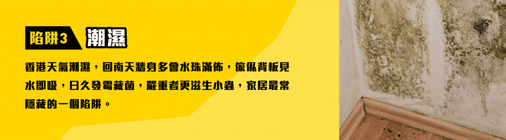 陷阱三:潮濕發霉資訊圖