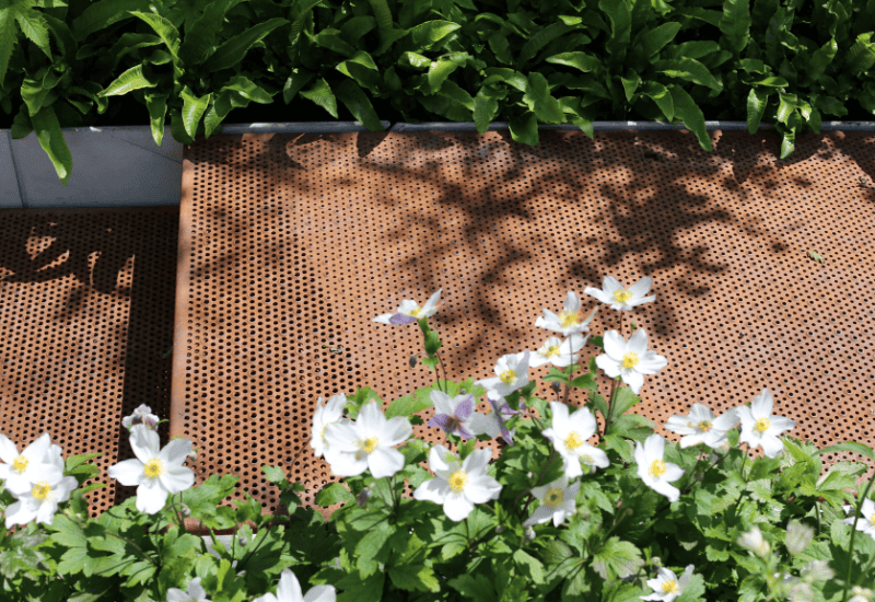 Graepels Corten flooring with foliage