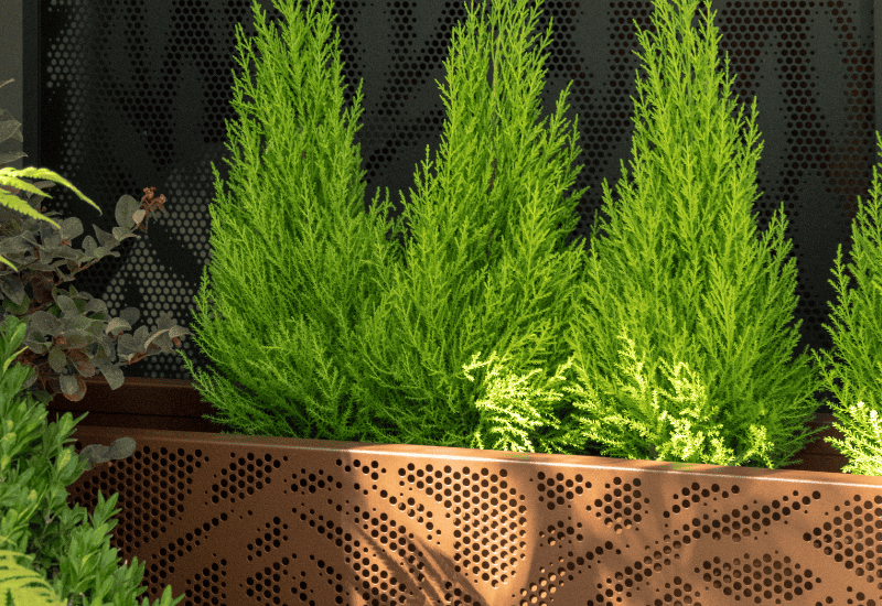 Perforated Metal planters used in urban landscaping