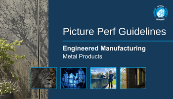 Picture Perf Guidelines PDF cover