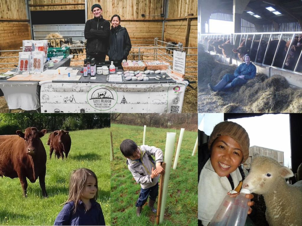 Graham and Jocelyn at Hayes Meadow farm – family-run regenerative farming and tallow skincare producers