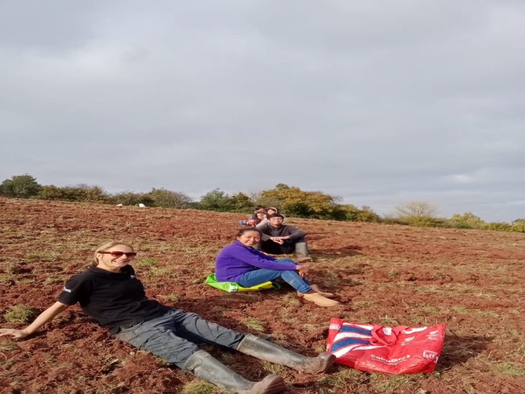 A lush outdoor scene with people relaxing on a hilltop, emphasizing natural and organic lifestyle.