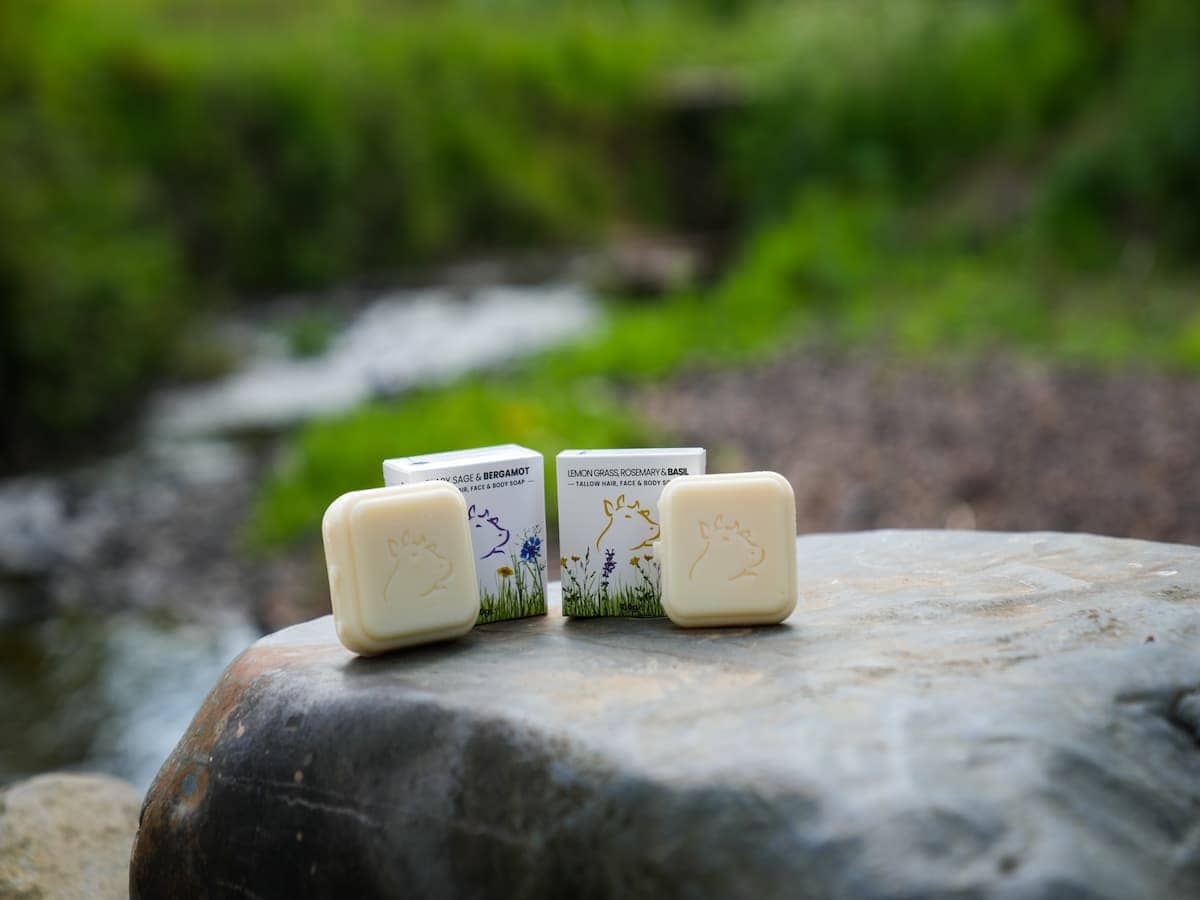 Rows of Hayes Meadow tallow soap bars with recyclable packaging – natural skincare from farm to skin