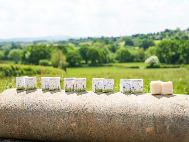 Hayes Meadow All-in-One Tallow Soap Bar – handcrafted 90% tallow soap made in Devon
