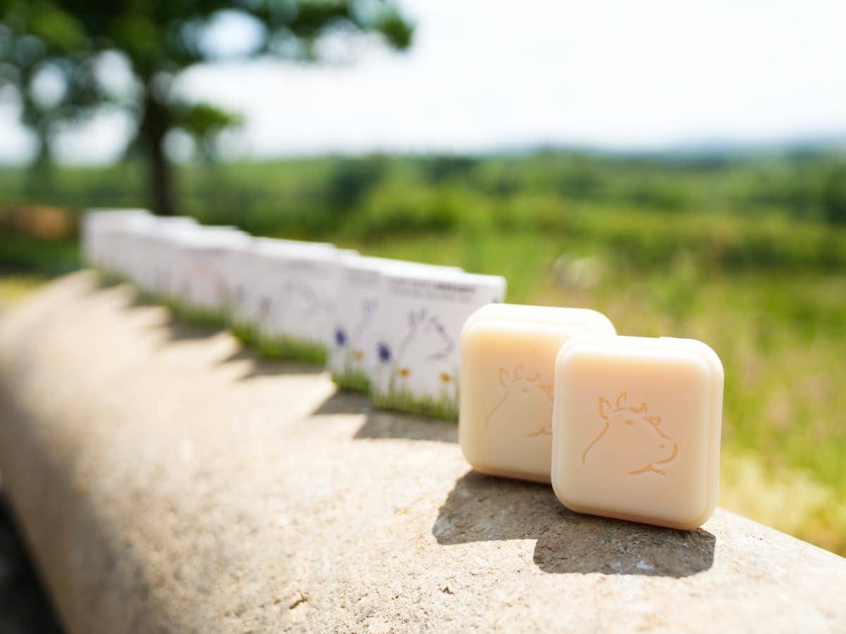 Rows of Hayes Meadow tallow soap bars with recyclable packaging – hand-crafted on farm