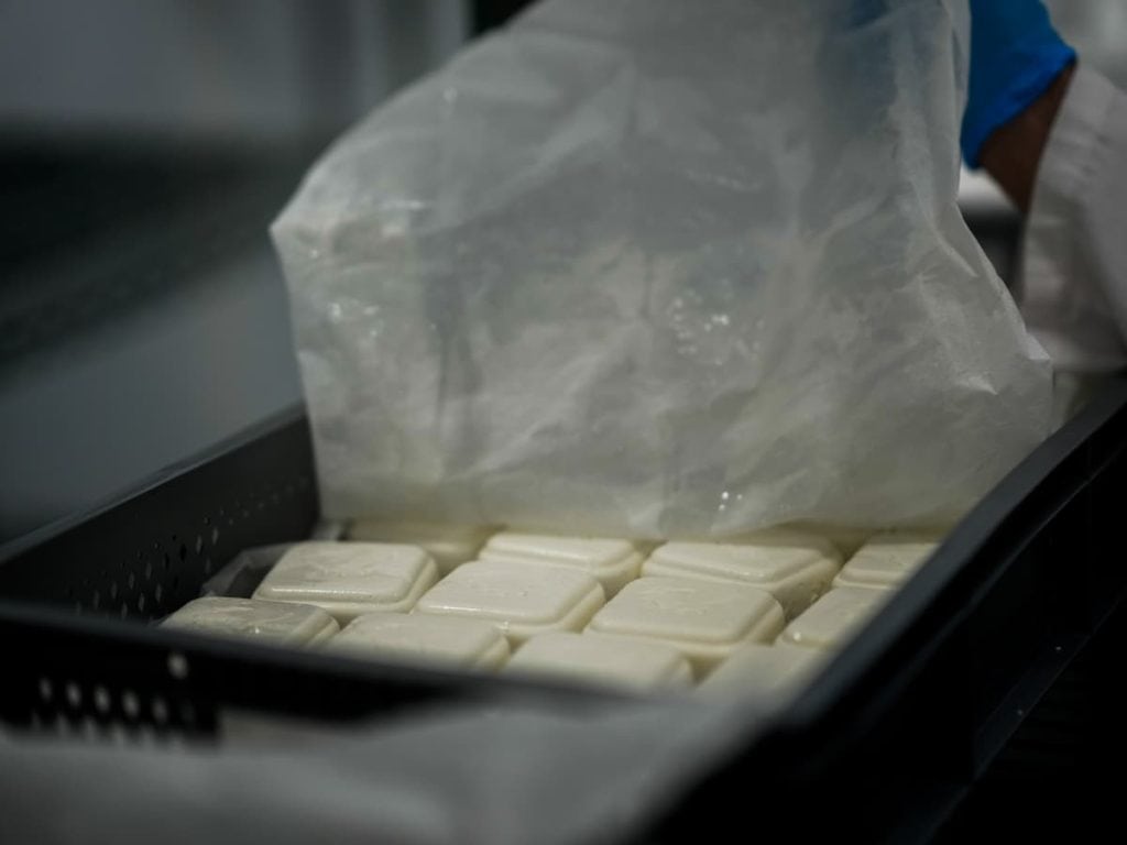 Curing tallow soap from Hayes Meadow