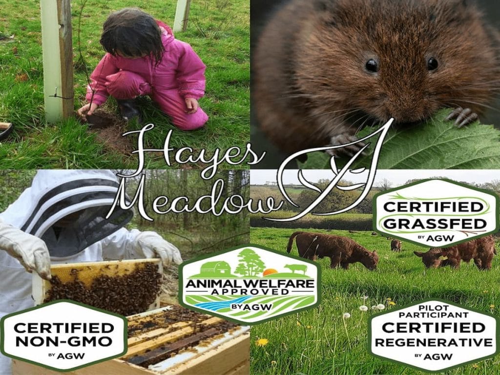 Tallow skincare products with organic ingredients at Hayes Meadow farm.