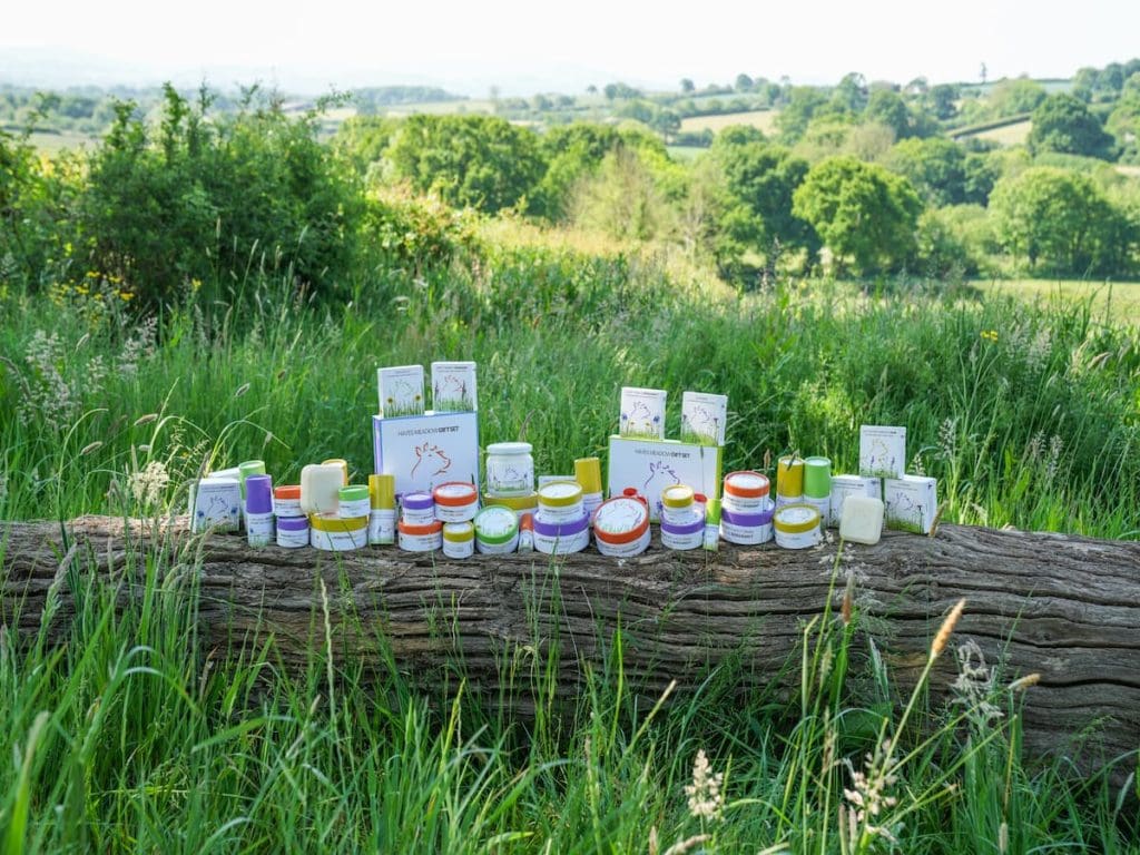 Tallow skincare products displayed outdoors on a log in a lush green field.