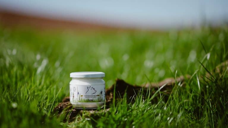Hayes Meadow organic tallow skincare product in a natural outdoor setting.