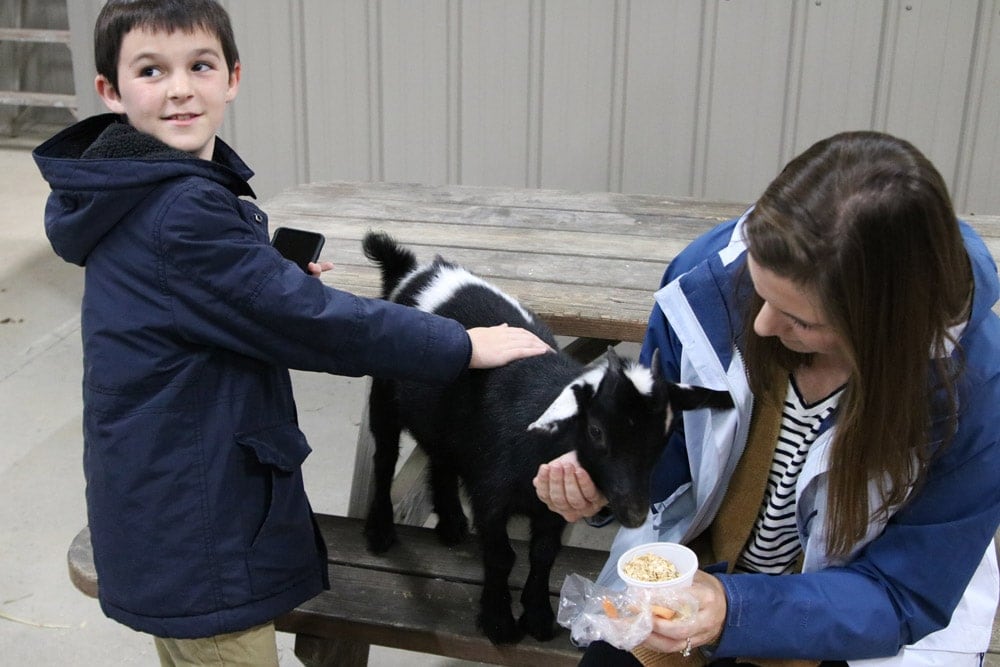 A Spectacular Fall Getaway | Elephants + Pumpkins Petting a goat at Wilstem Ranch- Fall Getaway