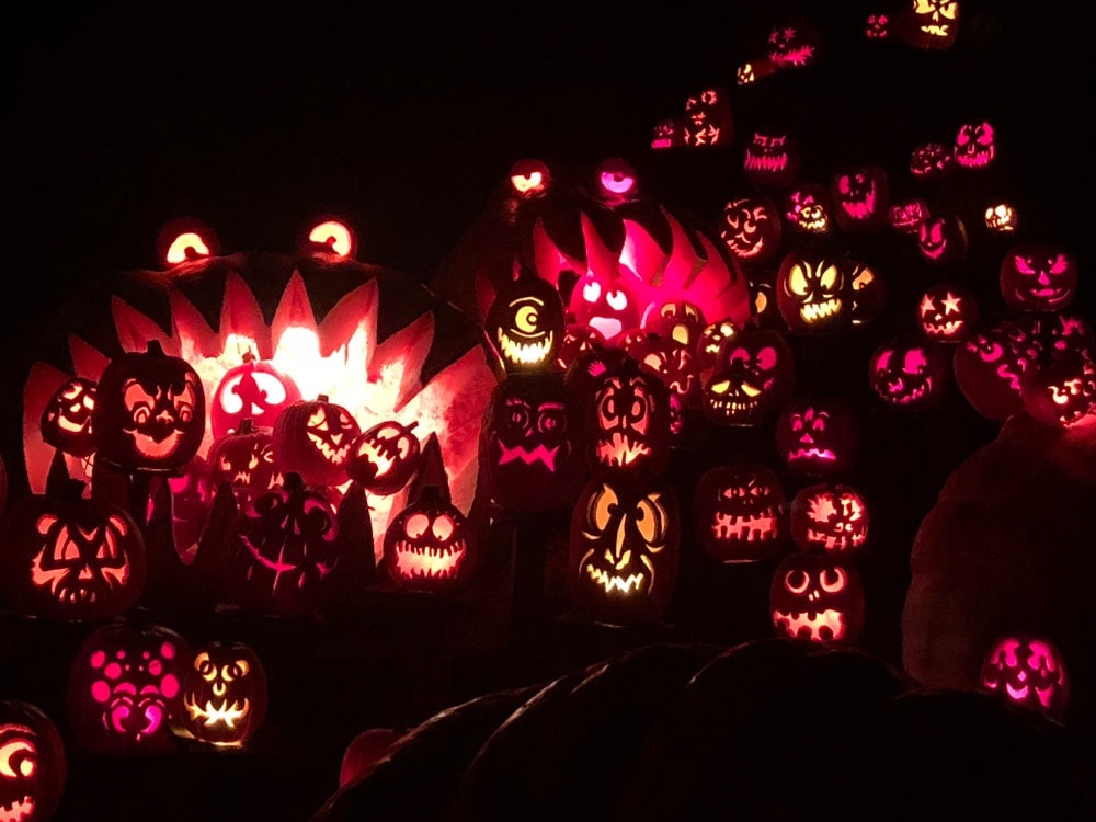 A Spectacular Fall Getaway | Elephants + Pumpkins Giant Jack O Lanterns at the Jack O Lantern Spectacular