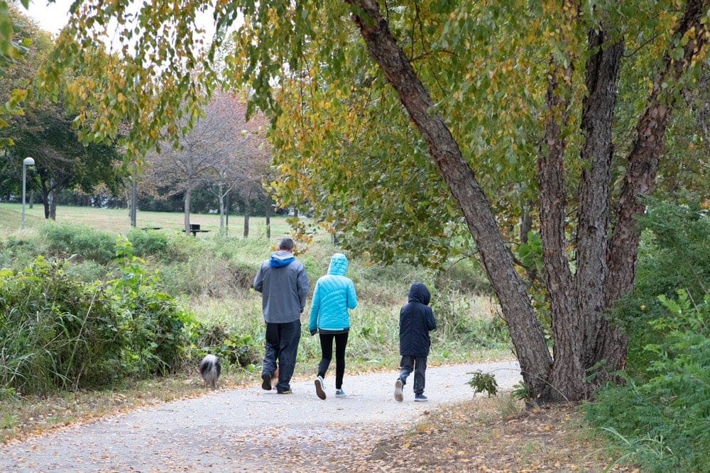 A Spectacular Fall Getaway | Elephants + Pumpkins Walking Waterfront Park in Louisville- Fall Getaway