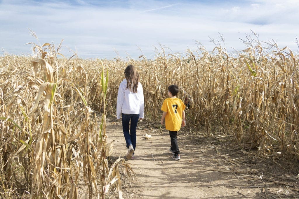 48 Amazing Things to Do in Michigan This Fall If you can only do one thing in Michigan this fall, make it a corn maze | Things to do in Michigan this fall.