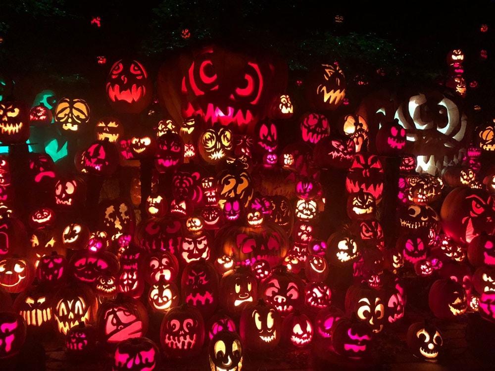 A Spectacular Fall Getaway | Elephants + Pumpkins Tons of illuminated Jack O Lanterns at the Louisville Jack O Lantern Spectacular