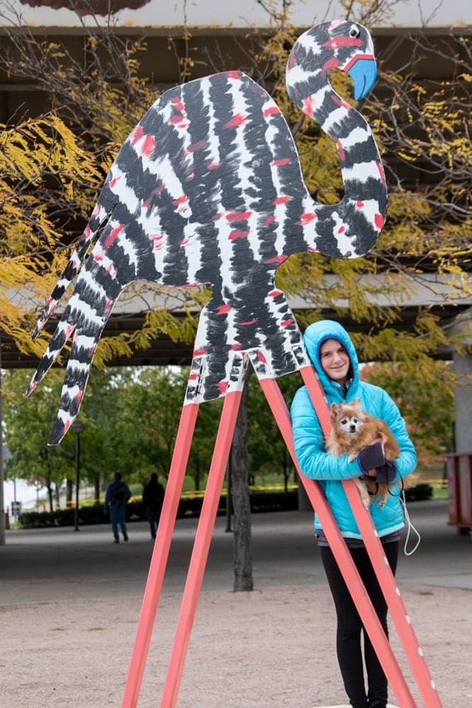 A Spectacular Fall Getaway | Elephants + Pumpkins Waterfront Park Art display- Fall Getaway