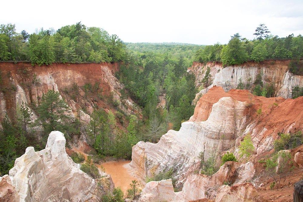 Georgia’s Providence Canyon State Park – A Must See Providence Canyon State Park | View from the rim | Cheap Family Vacations