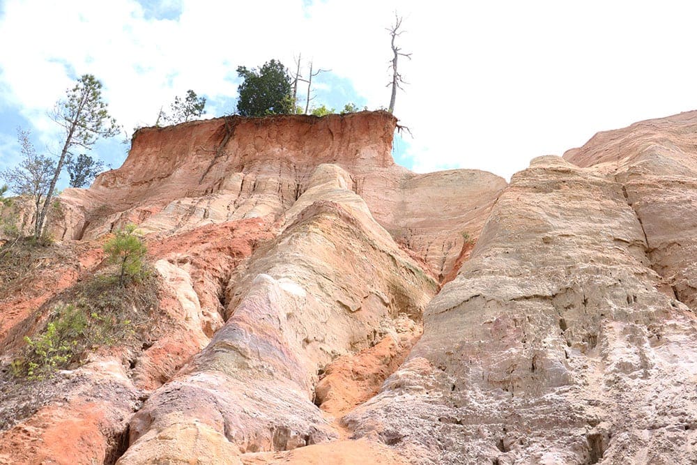 Georgia’s Providence Canyon State Park – A Must See Georgia's Little Grand Canyon. A view looking up from the canyon