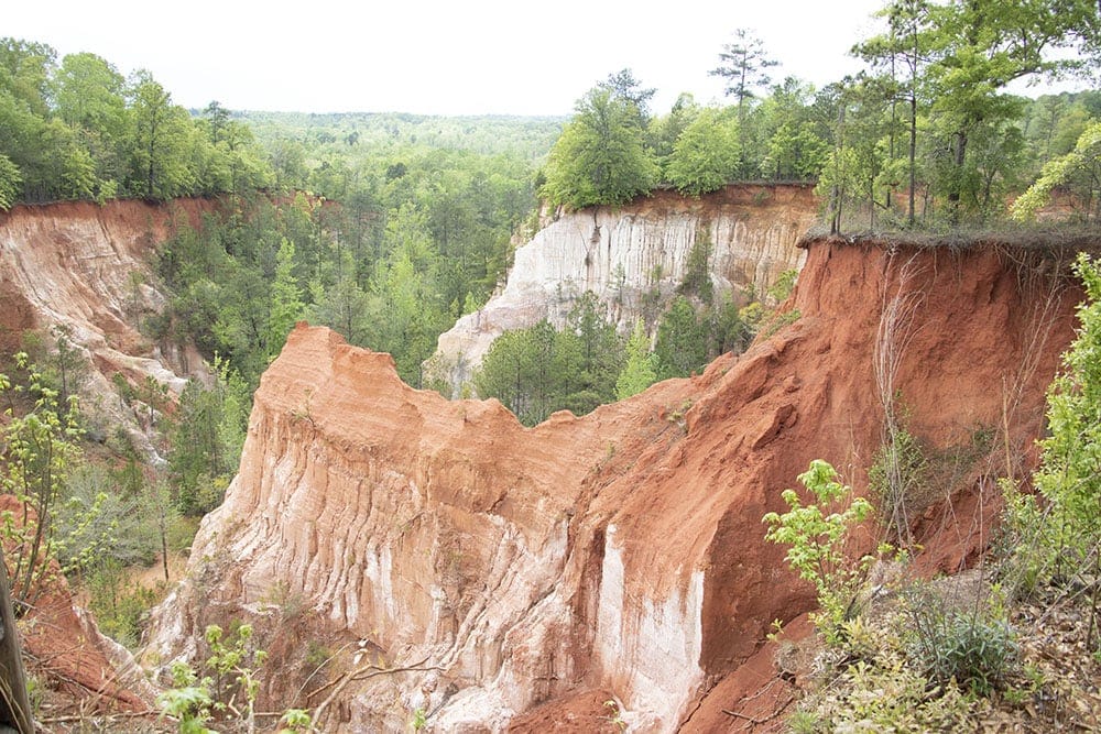 Georgia’s Providence Canyon State Park – A Must See The view of Providence Canyon or Georgia's Little Grand Canyon from the upper rim