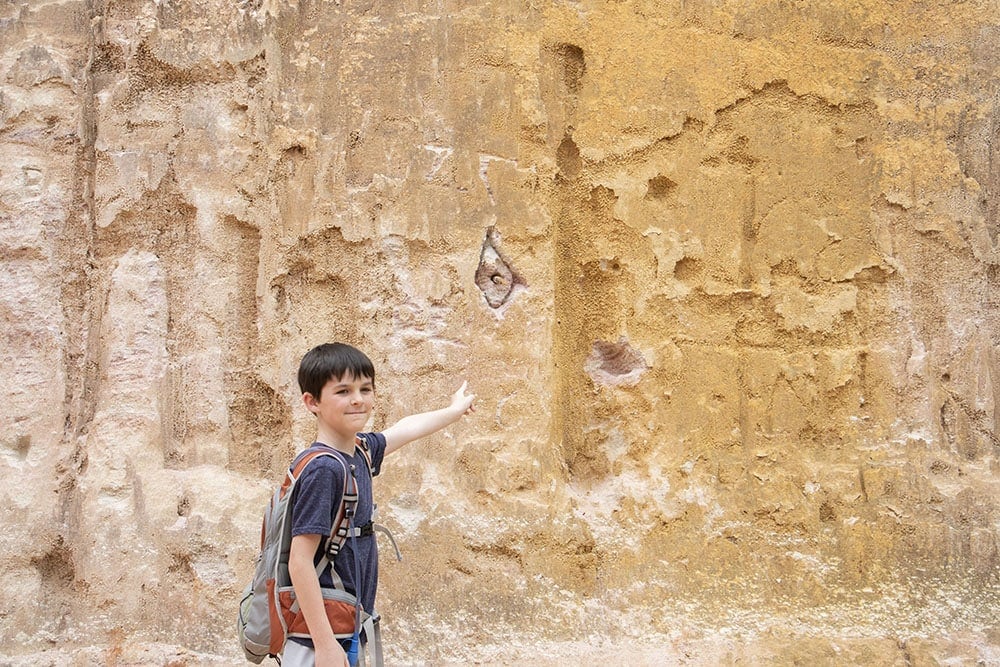 Georgia’s Providence Canyon State Park – A Must See Family vacation to providence canyon. View of the canyon wall.