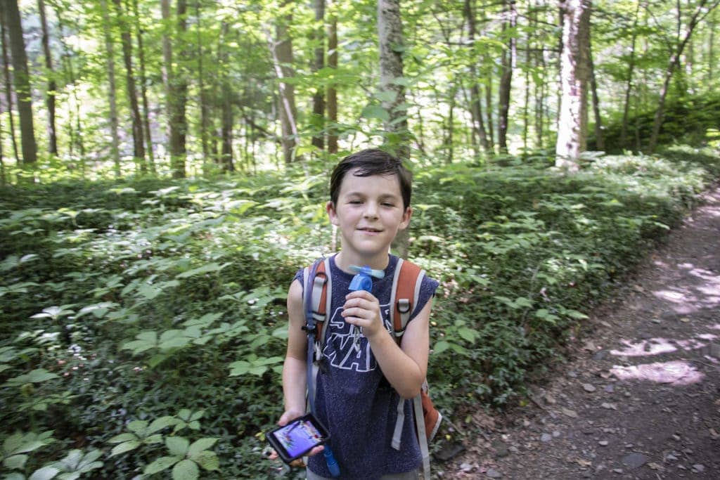 50+ Waterfalls in New York in 3 Days 50+ Waterfalls in New York in 3 Days Robert Treman rim gorge trail