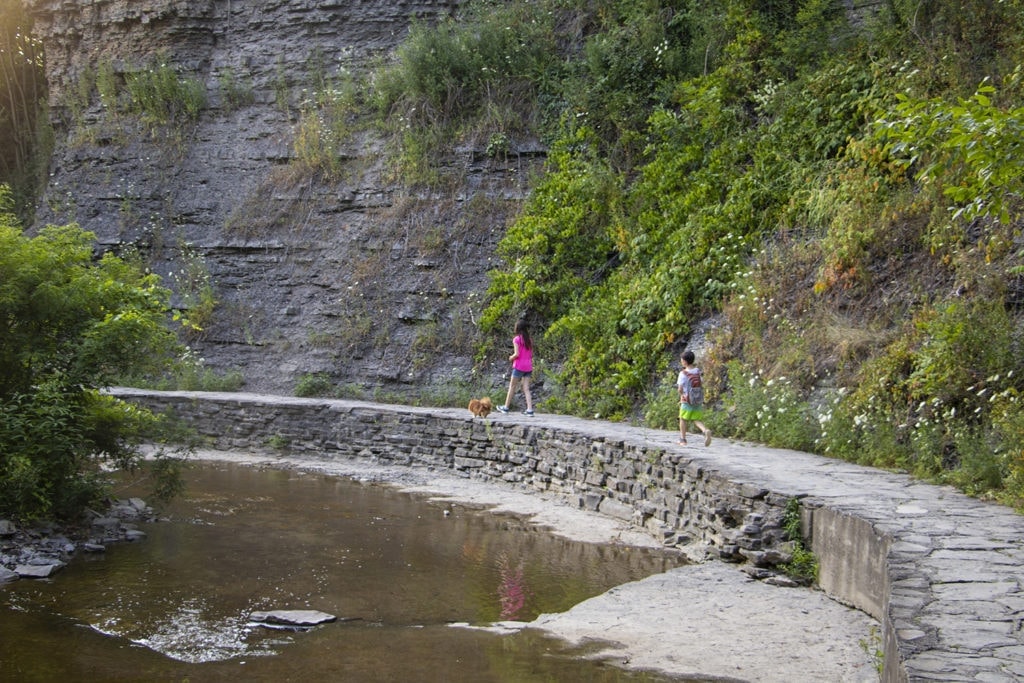50+ Waterfalls in New York in 3 Days 50+ Waterfalls in New York in 3 Days cascadilla falls hiking