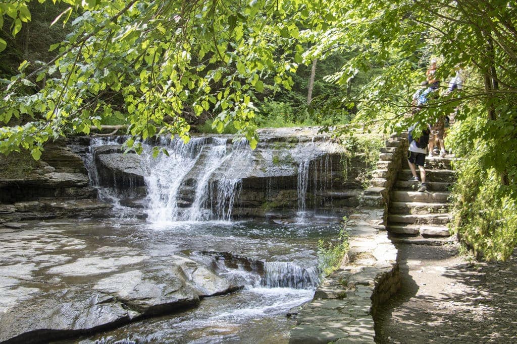 50+ Waterfalls in New York in 3 Days 50+ Waterfalls in New York in 3 Days robert h treman rim gorge trail 1