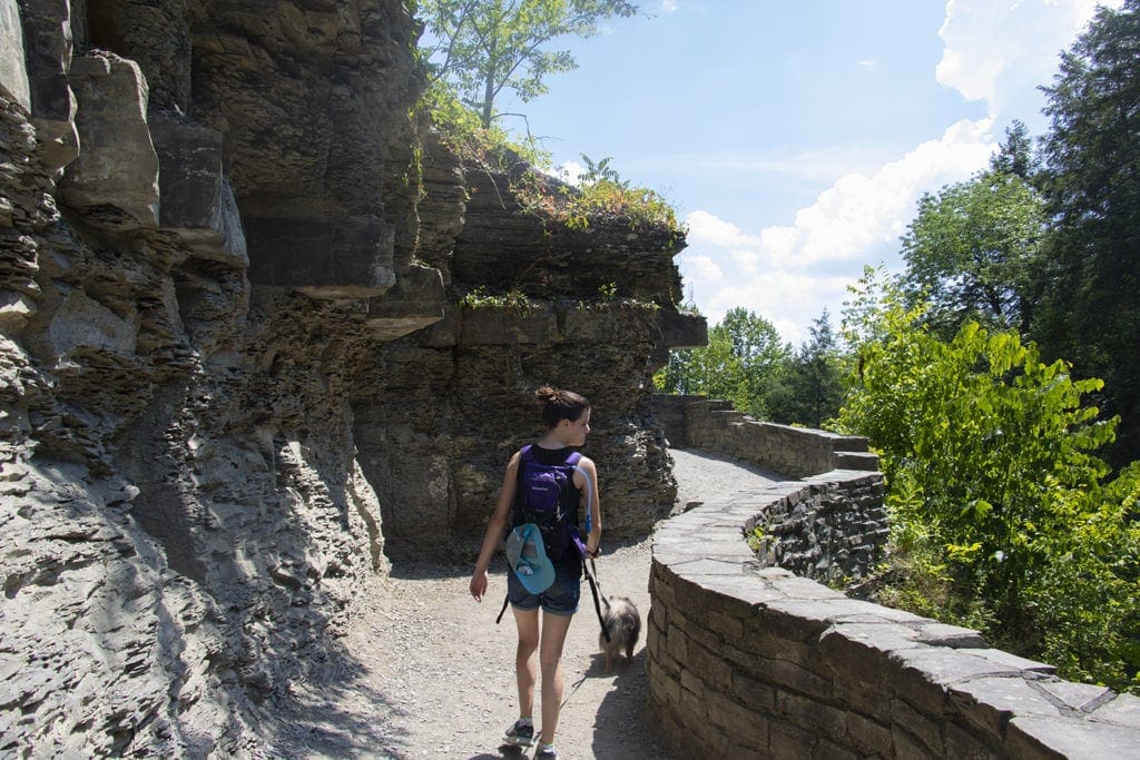 50+ Waterfalls in New York in 3 Days 50+ Waterfalls in New York in 3 Days robert treman rim gorge trail 3