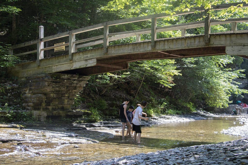 50+ Waterfalls in New York in 3 Days 50+ Waterfalls in New York in 3 Days robert treman rim gorge trail 4