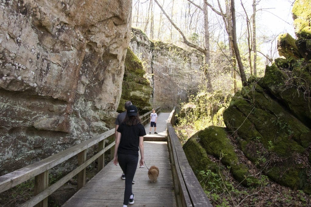 Shawnee Review: Top Things to Do in Shawnee National Forest Shawnee Review: Top Things to Do in Shawnee National Forest giant city nature trail