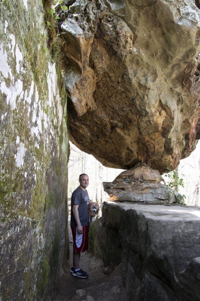 Shawnee Review: Top Things to Do in Shawnee National Forest Shawnee Review: Top Things to Do in Shawnee National Forest giant city nature trail hike