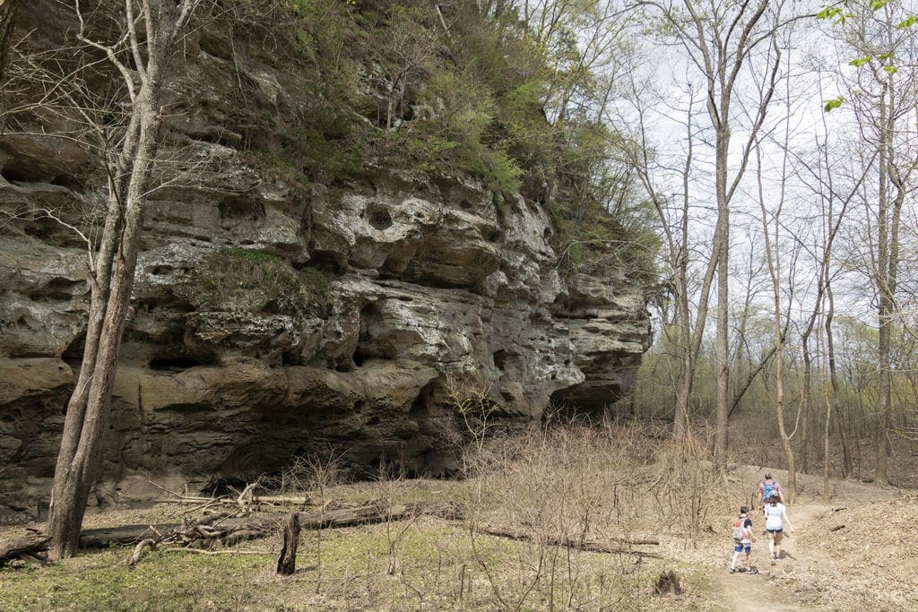 Shawnee Review: Top Things to Do in Shawnee National Forest Shawnee Review: Top Things to Do in Shawnee National Forest little grand canyon national forest 1