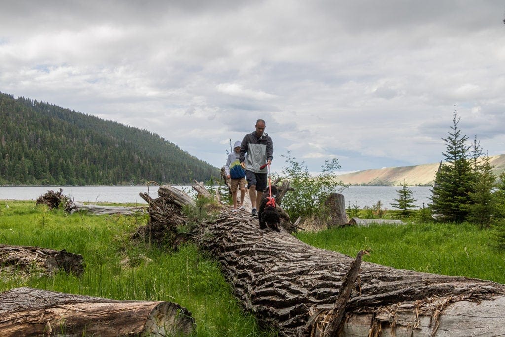 17 Best Day Hikes in Oregon You Don’t Want to Miss (Dog & Family-Friendly) 17 Best Day Hikes in Oregon You Don’t Want to Miss (Dog & Family-Friendly) wallowa lake state park