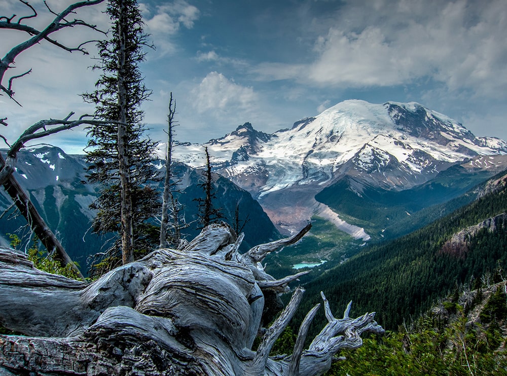 2025 U.S. National Park list by State (Free Printable Map & Checklist) 2025 U.S. National Park list by State (Free Printable Map & Checklist) mount rainer national park