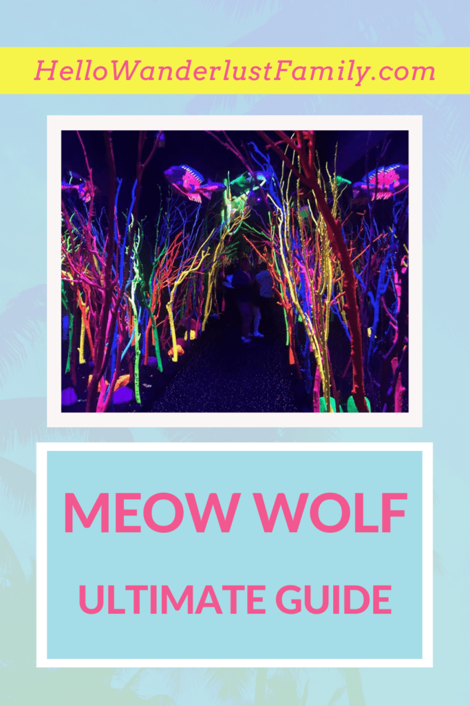 Meow Wolf Santa Fe – Ultimate Guide Meow Wolf Santa Fe – Ultimate Guide 2