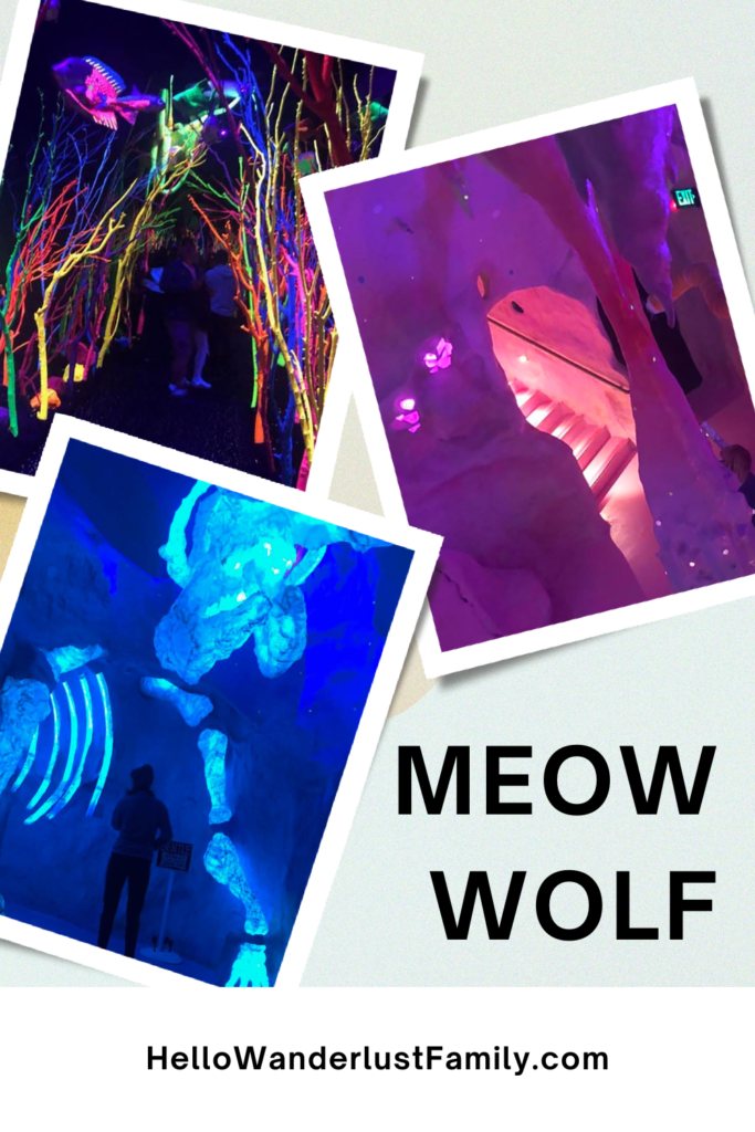 Meow Wolf Santa Fe – Ultimate Guide Meow Wolf Santa Fe – Ultimate Guide 3