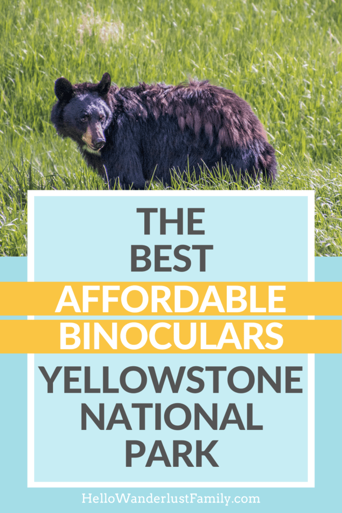 Best Affordable Binoculars for Yellowstone National Park Best Affordable Binoculars for Yellowstone National Park affordable binoculars yellowstone