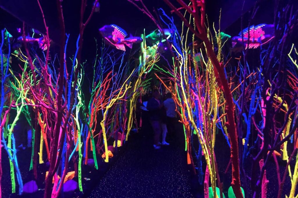 Meow Wolf Santa Fe – Ultimate Guide Meow Wolf Santa Fe – Ultimate Guide meow wolf under sea