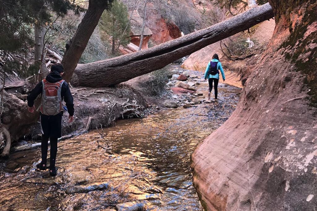 Kanarra Falls: Hike Utah’s Best Slot Canyon Two people wearing pants, neoprene socks and water shoes are hiking in the cold water before reaching the slot canyon. The water is crystal clear with rocks and boulders sticking out. There are orange and red rocky walls starting to form and evergreen trees on the other side of the freezing stream.