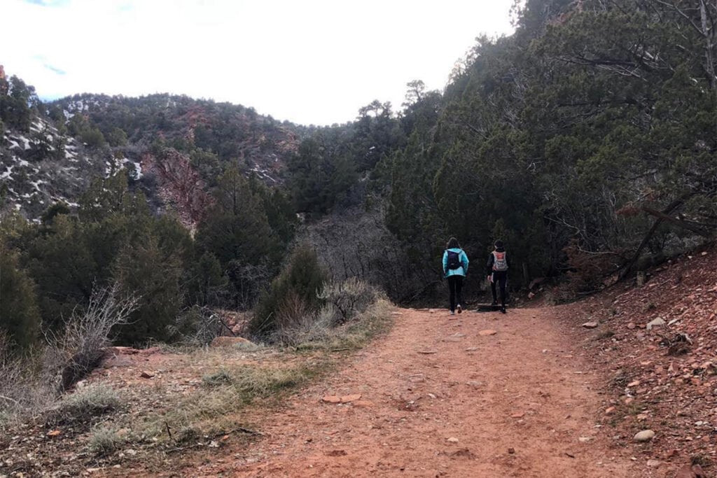 Kanarra Falls: Hike Utah’s Best Slot Canyon People walk up a rocky incline trail surrounded by trees. This is near the beginning of the Kanarra Falls hike.