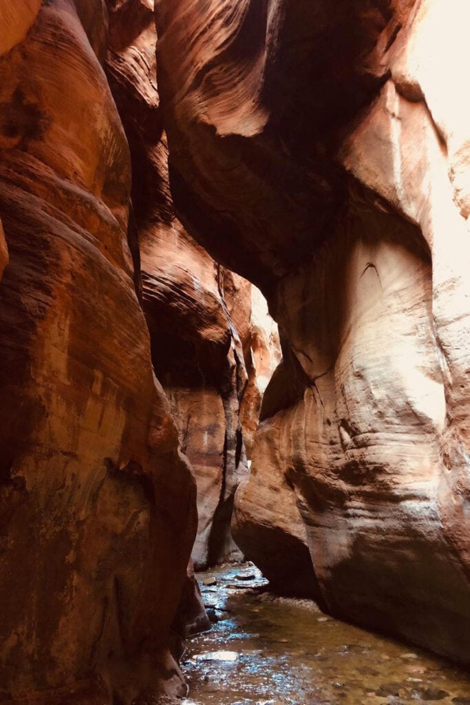 Kanarra Falls: Hike Utah’s Best Slot Canyon A narrow slot canyon with tall, red rock walls towering over a shallow stream of crystal-clear water. The path winds through the canyon, with small waterfalls and pools along the way. The sunlight filters through the narrow opening above, casting a warm glow on the canyon walls.