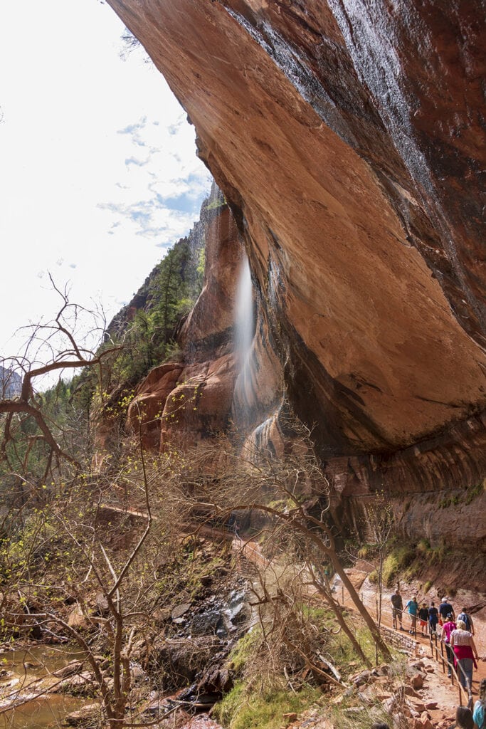 Your Epic 1 to 5 day Zion National Park Itinerary Awaits Lower Emerald Pools, behind the falls.