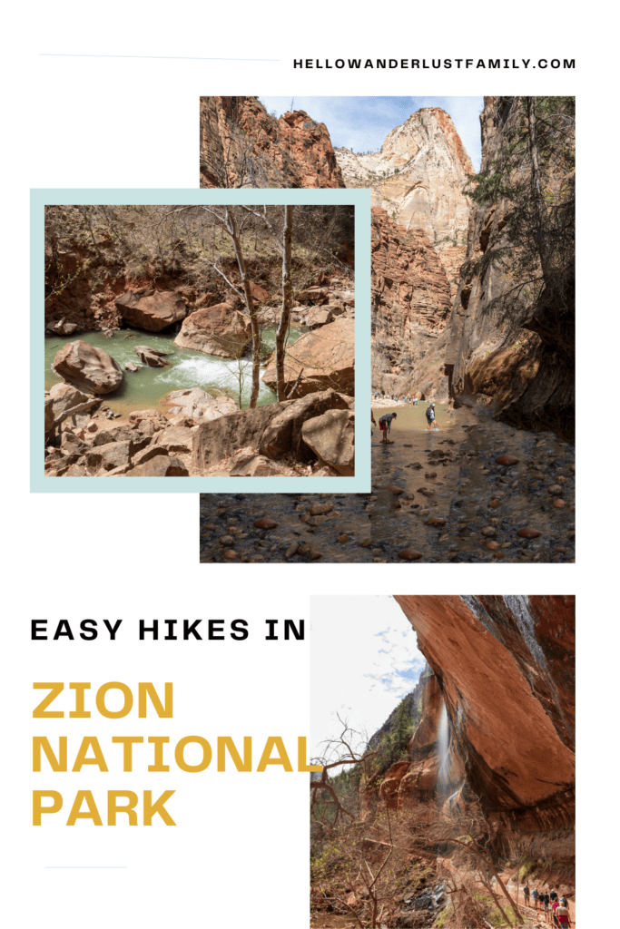 Zion National Park: The Best Easy Hikes for Outdoor Lovers Zion National Park: The Best Easy Hikes for Outdoor Lovers zion nps