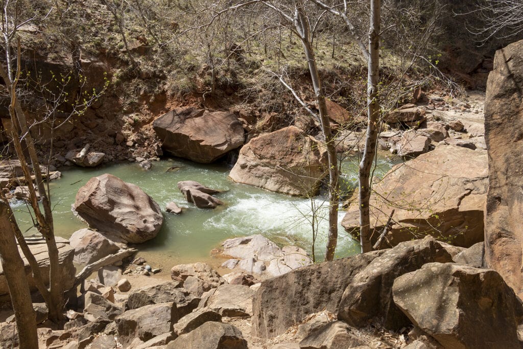 Your Epic 1 to 5 day Zion National Park Itinerary Awaits A view of the Virgin River in Zion National Park