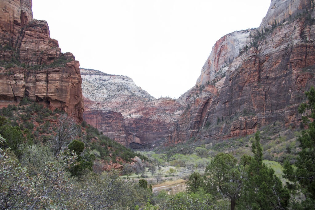 Zion National Park Shuttle & Parking 101 – Ultimate Guide Parking at Zion National Park - Lust green vegetation with towering red cliffs