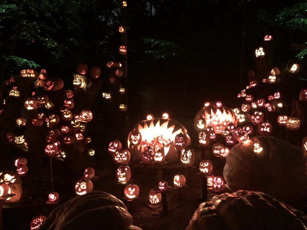 A Spectacular Fall Getaway | Elephants + Pumpkins Hundreds of intricately carved pumpkins lit through the woods at the Louisville Jack O' Lantern Spetacular.