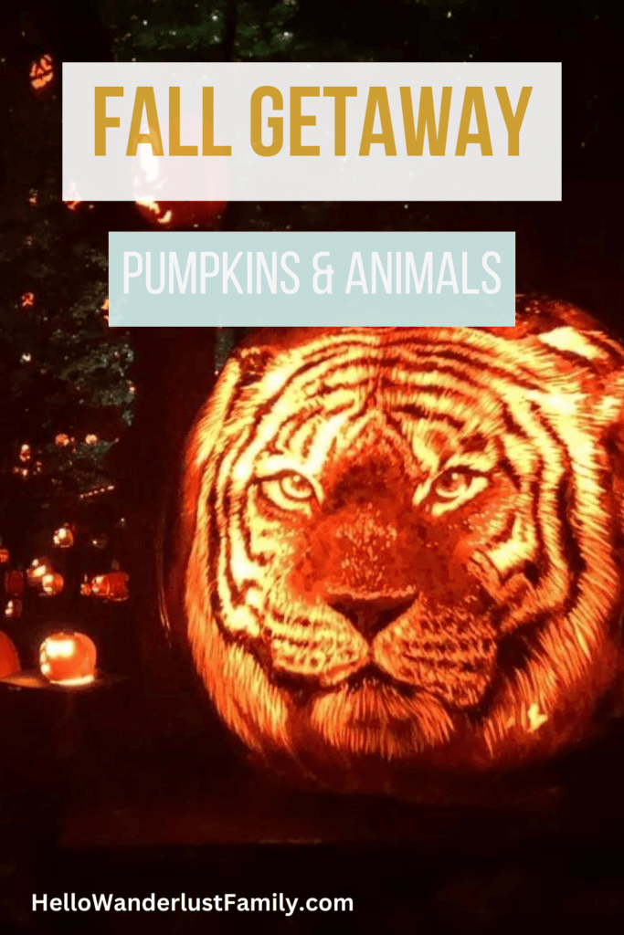 A Spectacular Fall Getaway | Elephants + Pumpkins A Spectacular Fall Getaway | Elephants + Pumpkins fall getaway cheap