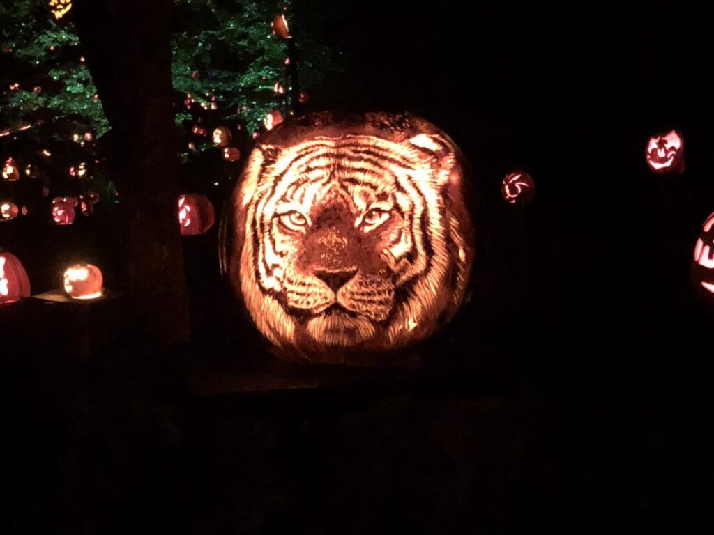 Your Guide to The Louisville Jack O’ Lantern Spectacular Your Guide to The Louisville Jack O’ Lantern Spectacular things to do kentucky