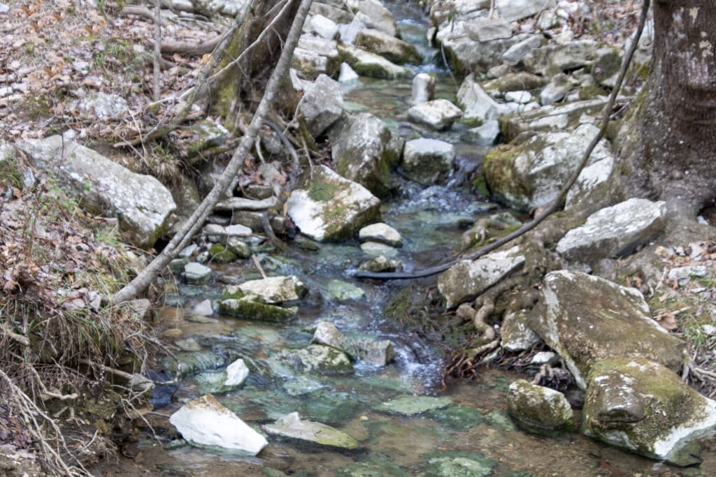 Bethel Spring Falls Alabama – Your Complete Hiking Guide Bethel Spring Falls Alabama – Your Complete Hiking Guide Bethel Creek